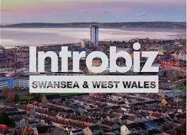 Cheap Websites Bristol — Introbiz client logo